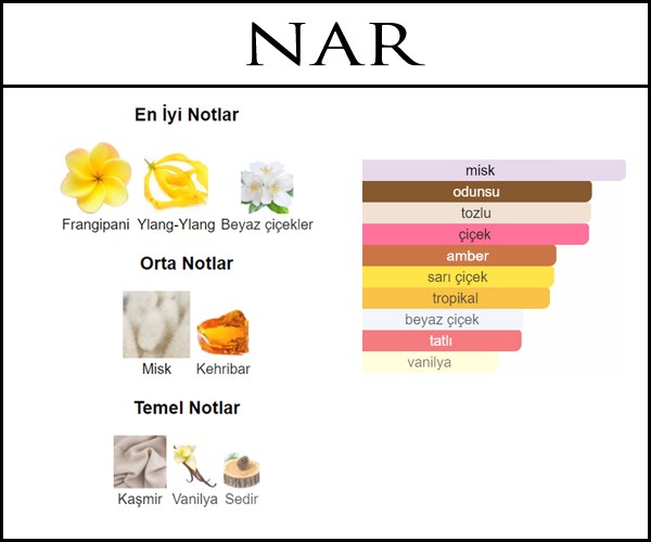 Narciso acik parfum