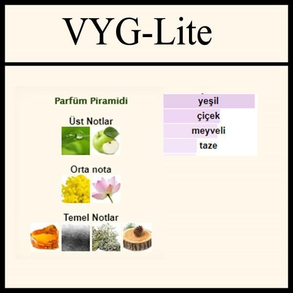 Nautic Voyage [VYG-Lite] 250 ML (Erkek)