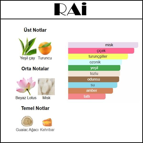 RAIN ESSENCE [RAi] 50 ML