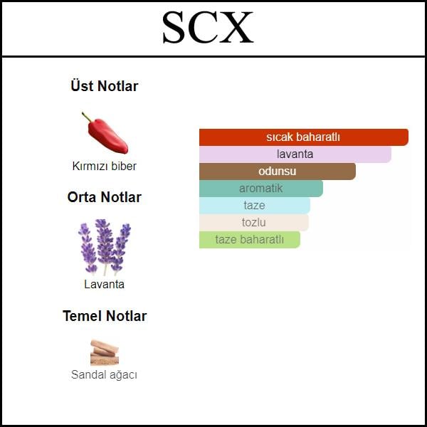 SCENT ELIXIR ERKEK [SCX] 50 ML