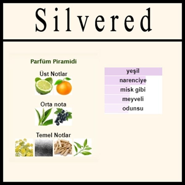 SILVERED