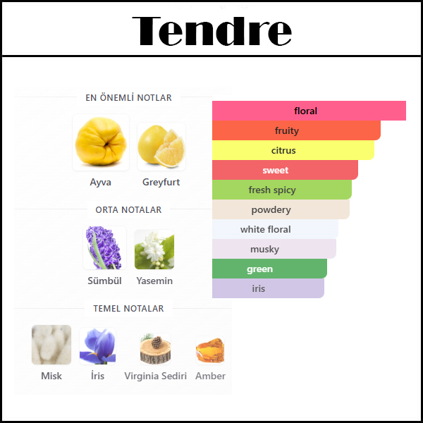 (TENDRE) Body & Hair Mist 150 ML