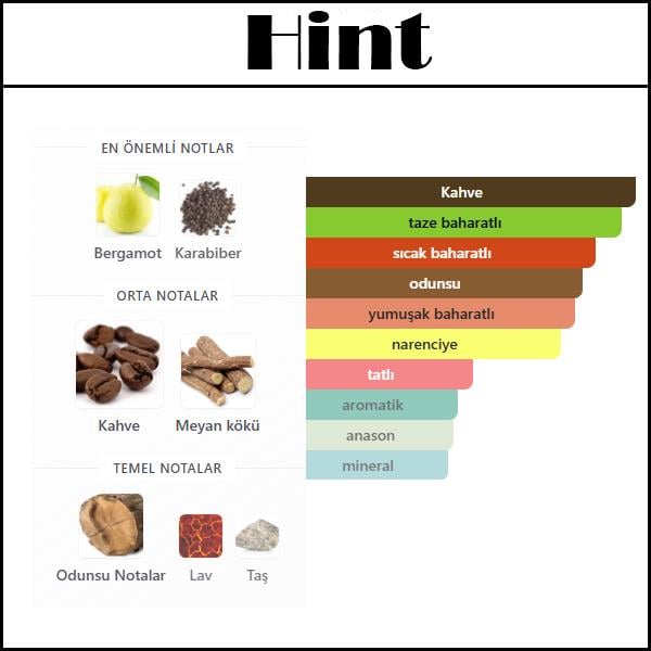 TERRE INTENSE 2025 [Hint] 50 ML