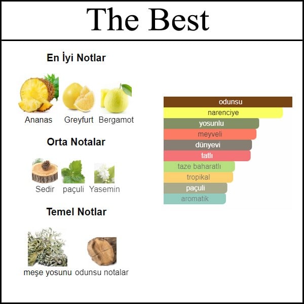THE BEST (50 ML)