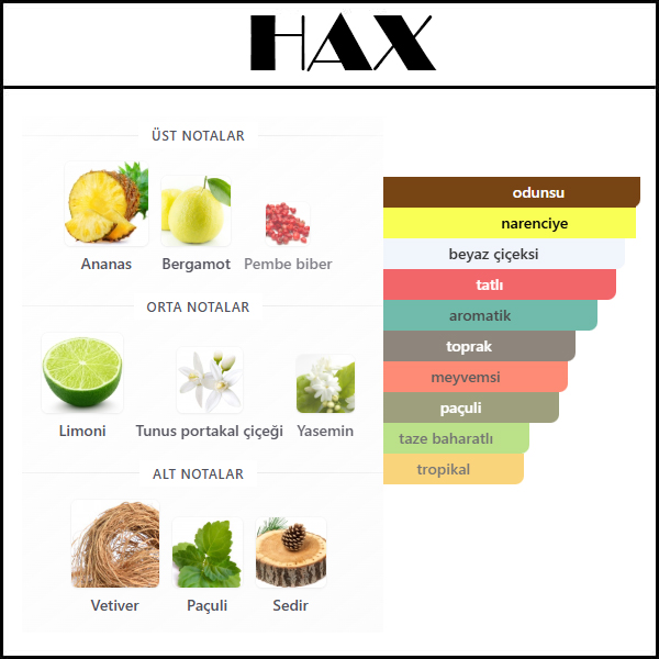 THE BEST XXX [HAX] 50 ML