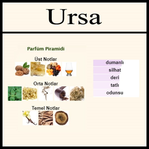 tiziana terenzi ursa