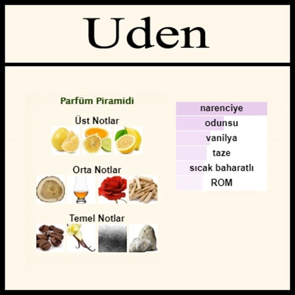 En iyi açık parfüm