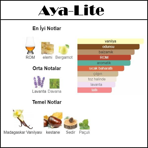 YOU ABSOLU [AYA-Lite] 250 ML ERKEK