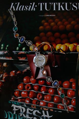 Alvessa Silver Renkli Taşlı Metal Kadın Kol Saati