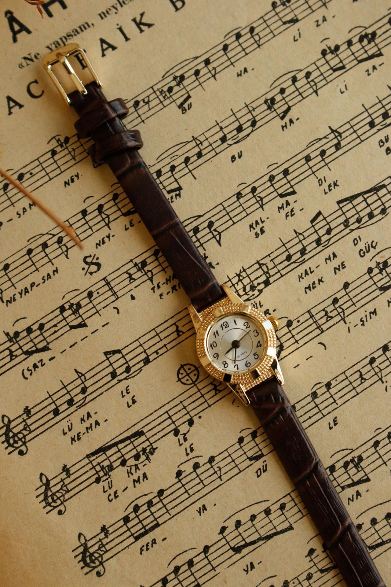 Damsey Minimal A.Kahve Deri Kadın Kol Saati