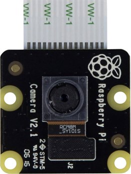 KompentRaspberry Pi Kızılötesi Kamera Modülü V2 NOIR Camera
