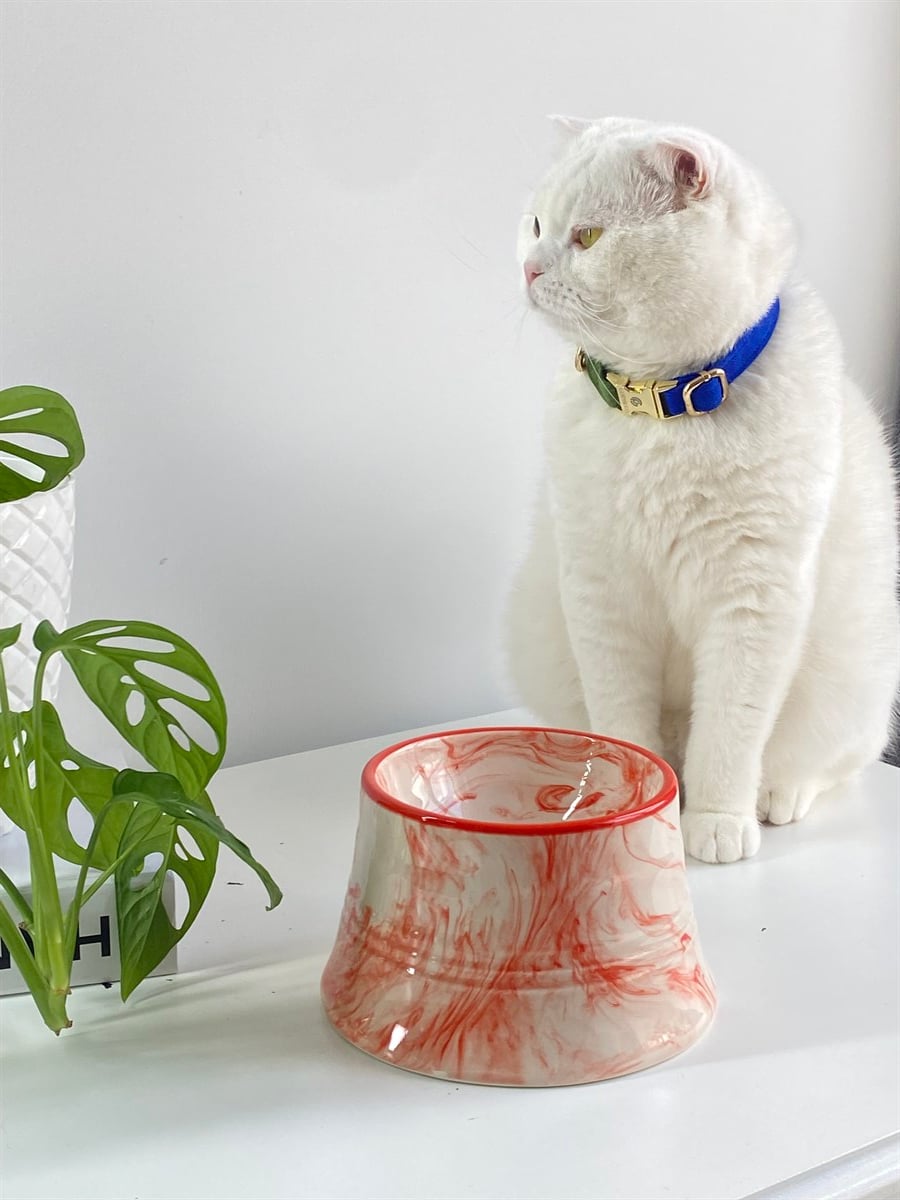Seramik Kedi ve Köpek Mama Su Kabı (ÇİZGİLİ TURUNCU)