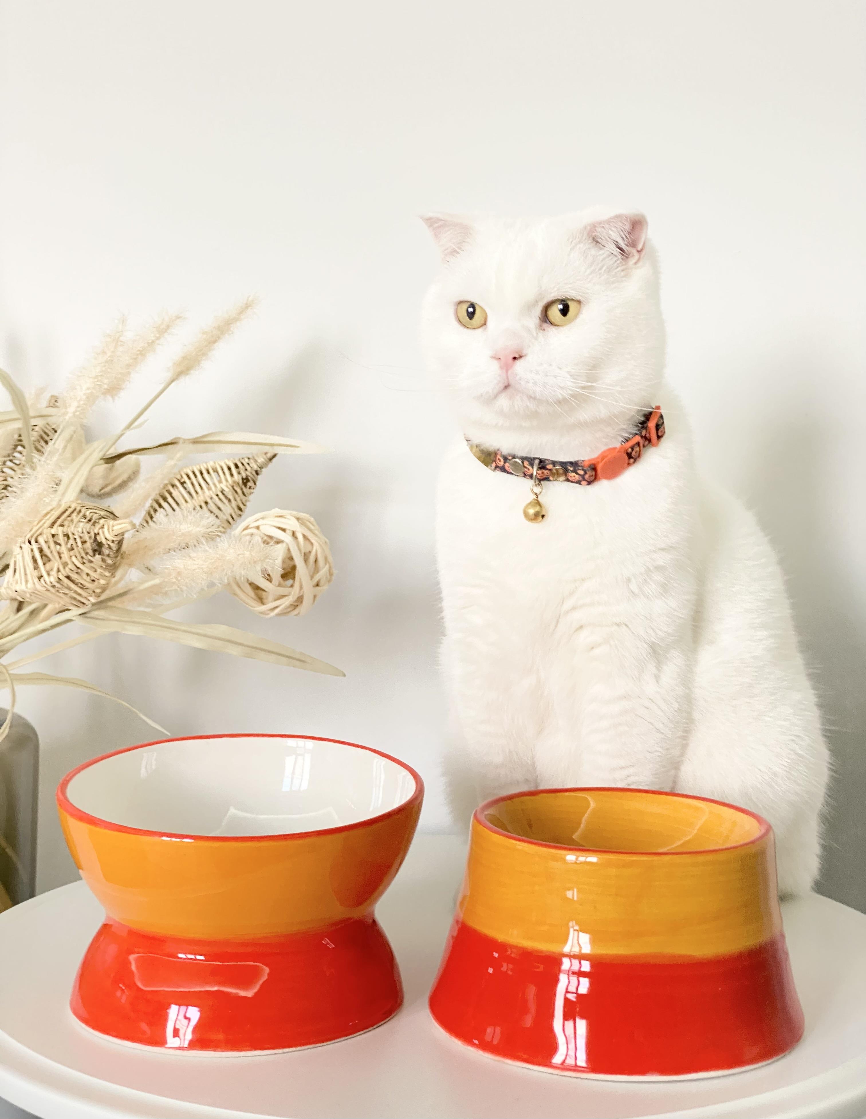 Seramik Kedi ve Köpek Mama Su Kabı Luna-Colorful Model 2'Lİ(TURUNCU )
