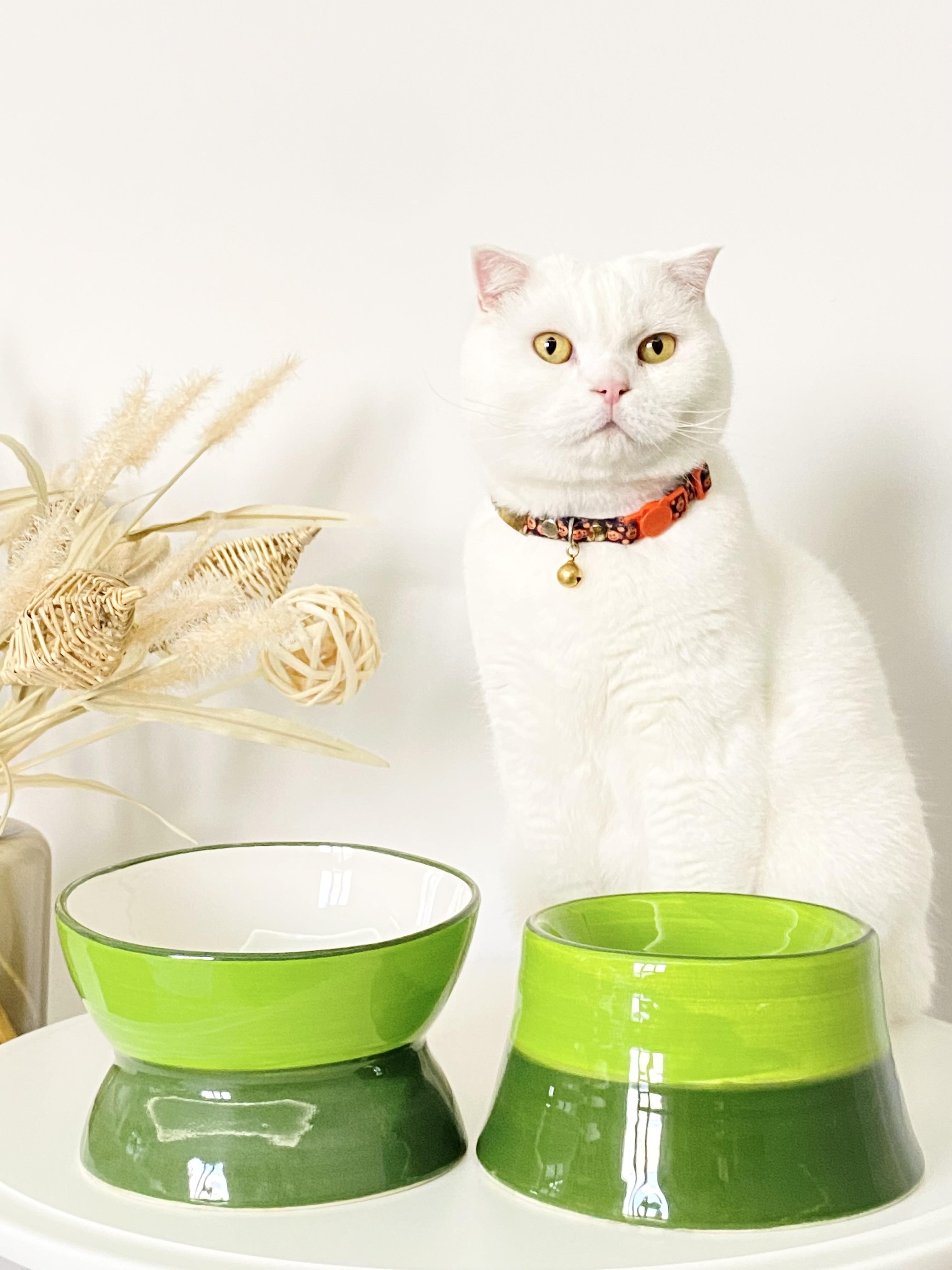 Seramik Kedi ve Köpek Mama Su Kabı Luna-Colorful Model 2'Lİ(YEŞİL )