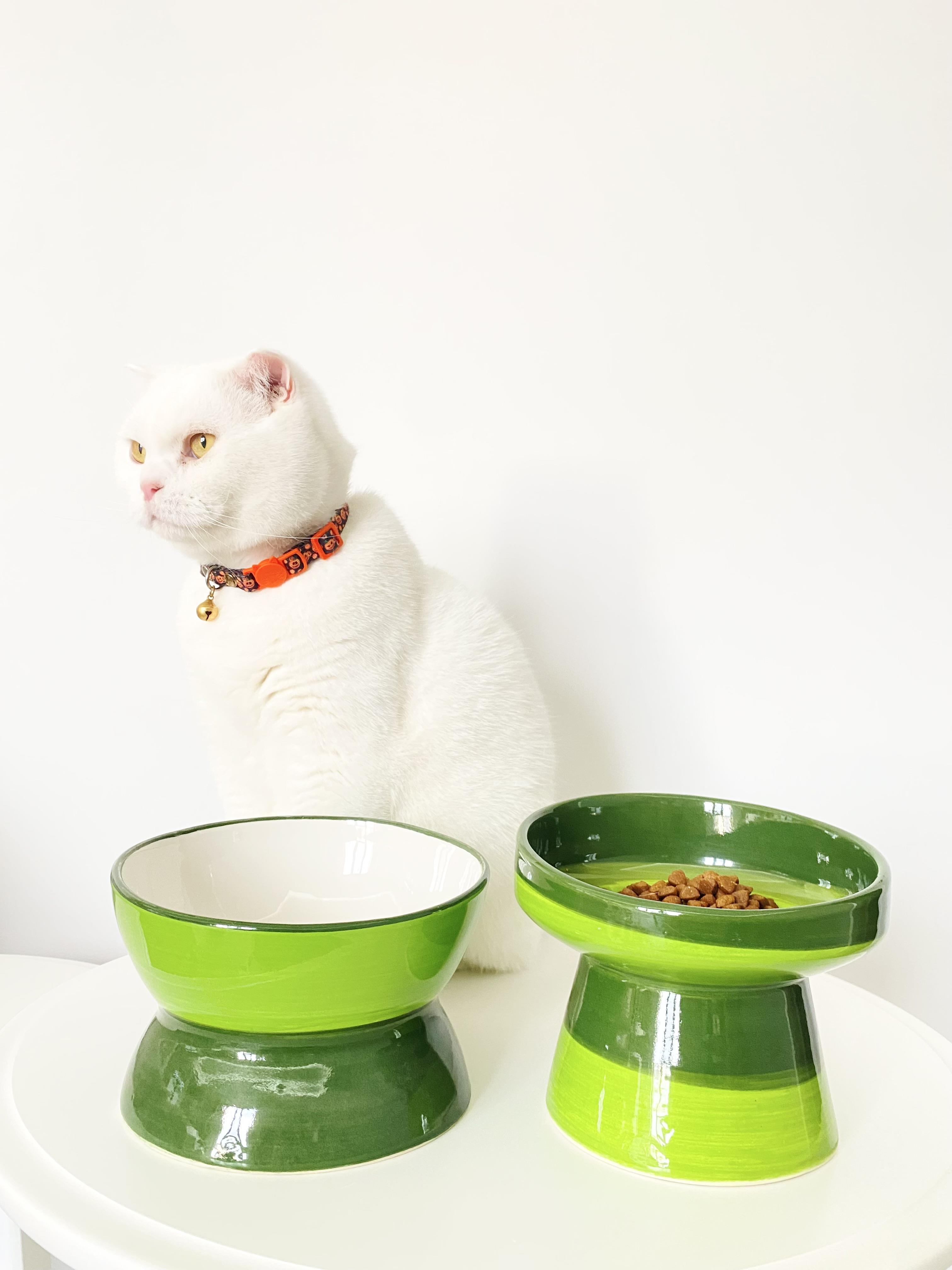 Seramik Kedi ve Köpek Mama Su Kabı Luna- Ayaklı Model 2'Lİ(YEŞİL)