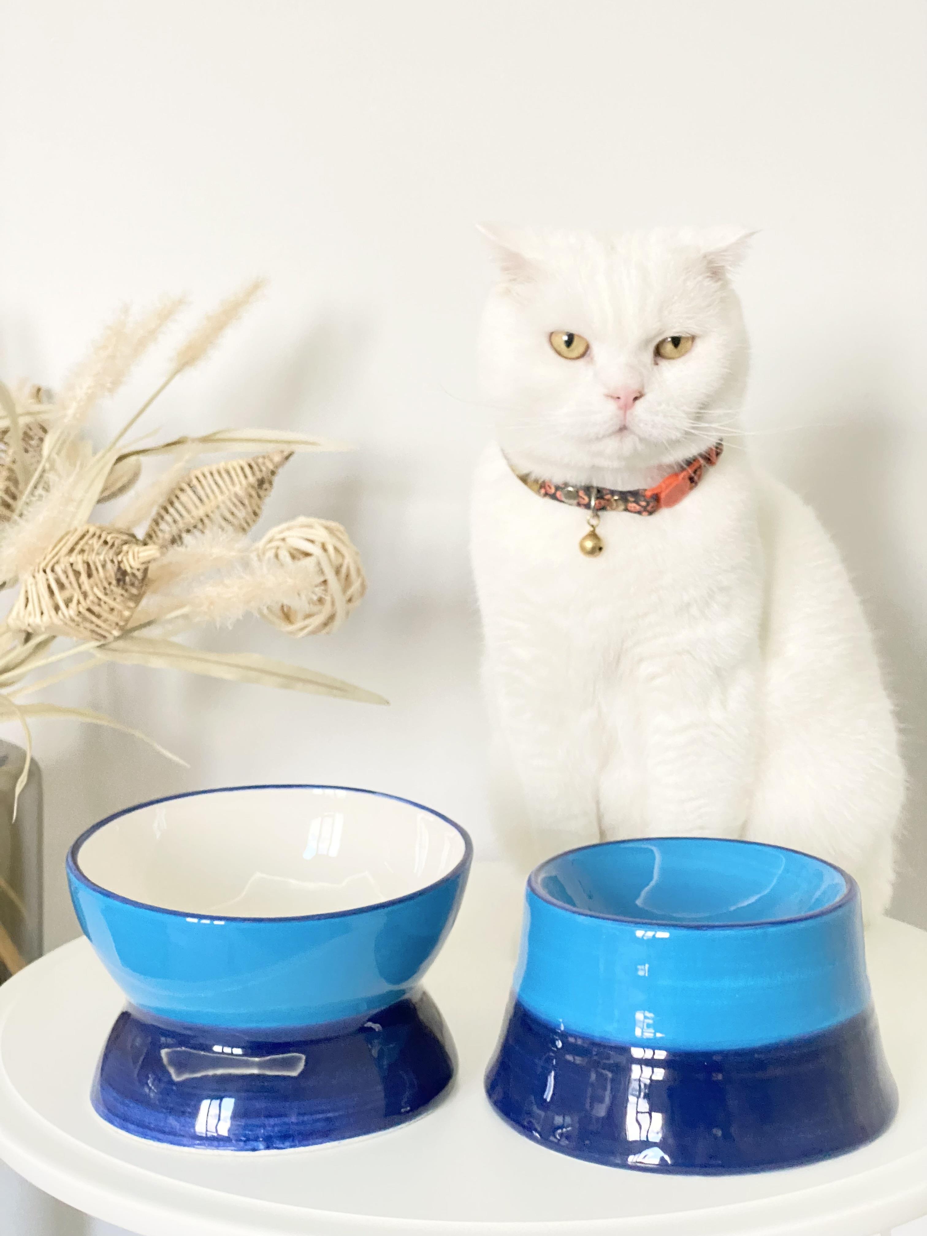 Seramik Kedi ve Köpek Mama Su Kabı Luna-Colorful Model 2'Lİ(MAVİ )