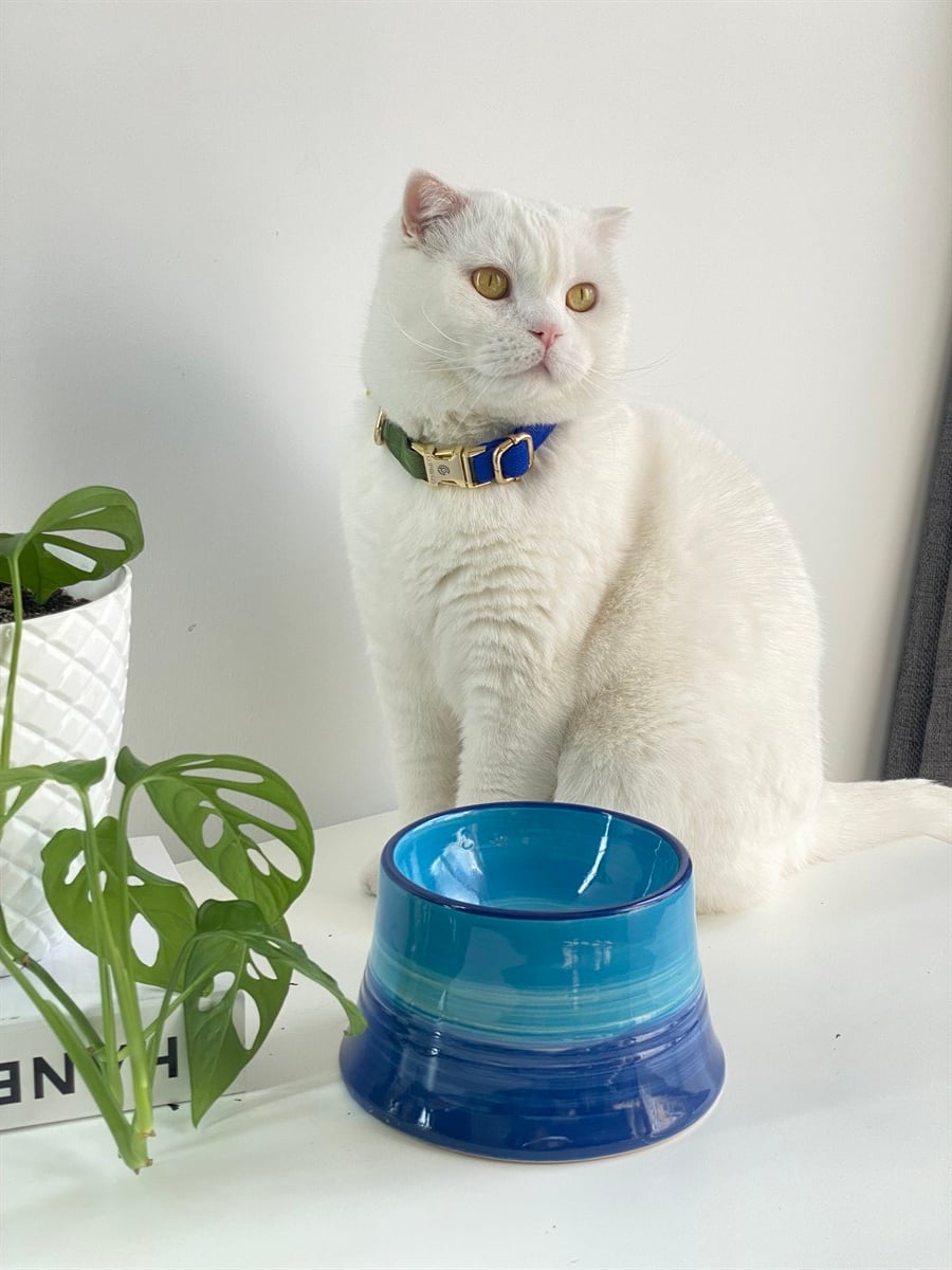 Seramik Kedi ve Köpek Mama Su Kabı (MAVİ-LACİVERT)