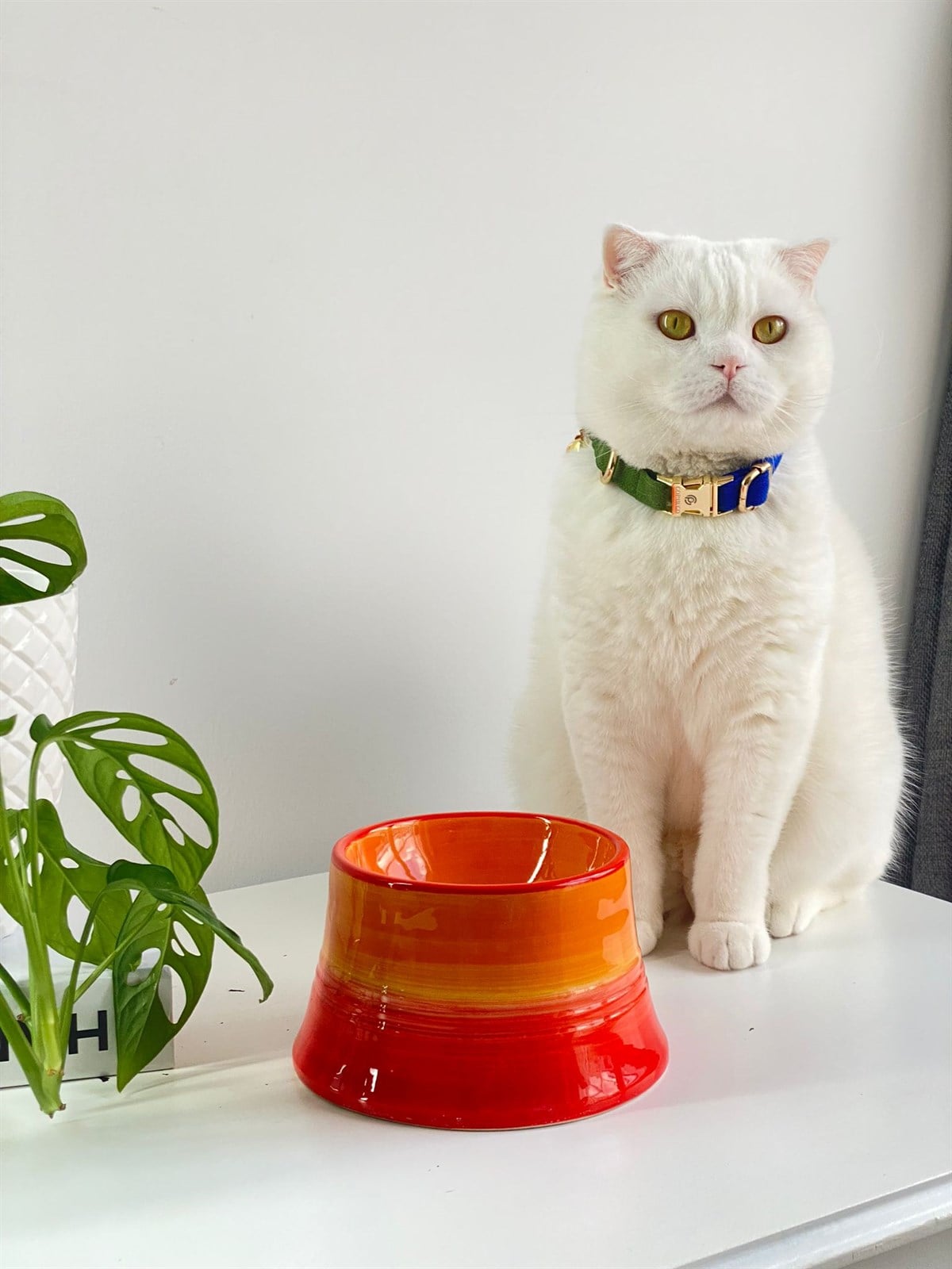 Seramik Kedi ve Köpek Mama Su Kabı (TURUNCU-SARI)