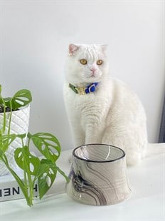 Seramik Kedi ve Köpek Mama Su Kabı (SİYAH ÇİZGİLİ)