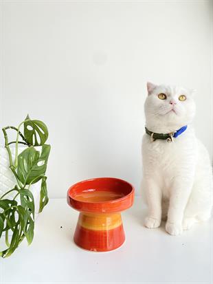 Seramik Kedi ve Kopek Mama Su Kabı (Turuncu)