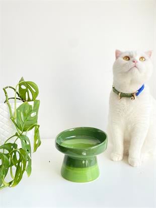 Seramik Kedi ve Kopek Mama Su Kabı (Yeşil-Fıstık Yeşili)