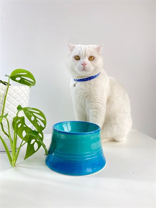 Seramik Kedi ve Köpek Mama Su Kabı (YEŞİL-TURKUAZ)