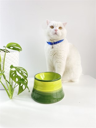 Seramik Kedi ve Köpek Mama Su Kabı (YEŞİL-FISTIK YEŞİL)