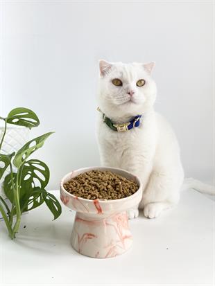 Seramik Kedi ve Kopek Mama Su Kabı(Turuncu-beyaz-ebru-desenli M2)