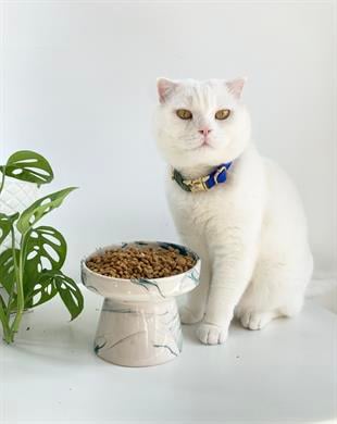 Seramik Kedi ve Kopek Mama Su Kabı(yesil-beyaz-ebru-desenli M2)
