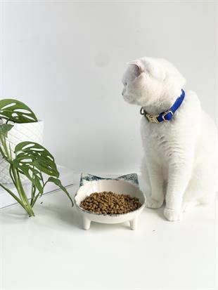 Seramik Sweet Cat Kedi Mama- Su Kabı (Yeşil Desen)