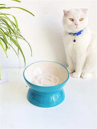 SERAMİK YAVAŞ YEME KEDİ MAMA KABI (TURKUAZ)