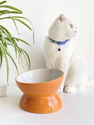 SERAMİK YAVAŞ YEME KEDİ MAMA KABI (TURUNCU)