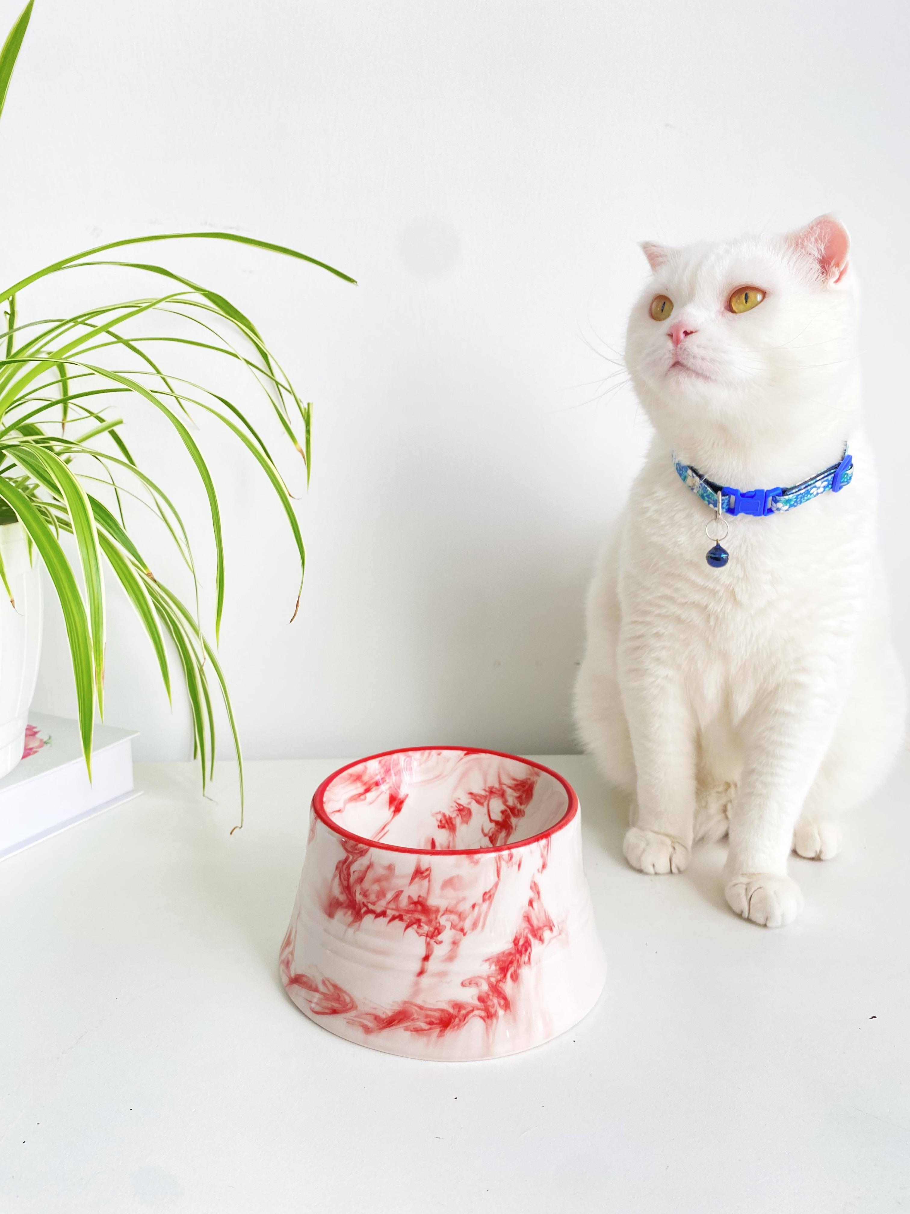 Seramik Kedi Ve Köpek Mama Su Kabı Colorful Moon Bowl (KIRMIZI ÇİZGİLİ -EBRU DESEN)