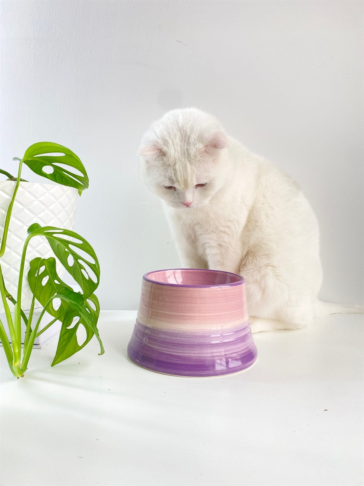 Seramik Kedi ve Köpek Mama Su Kabı (LİLA-MOR)