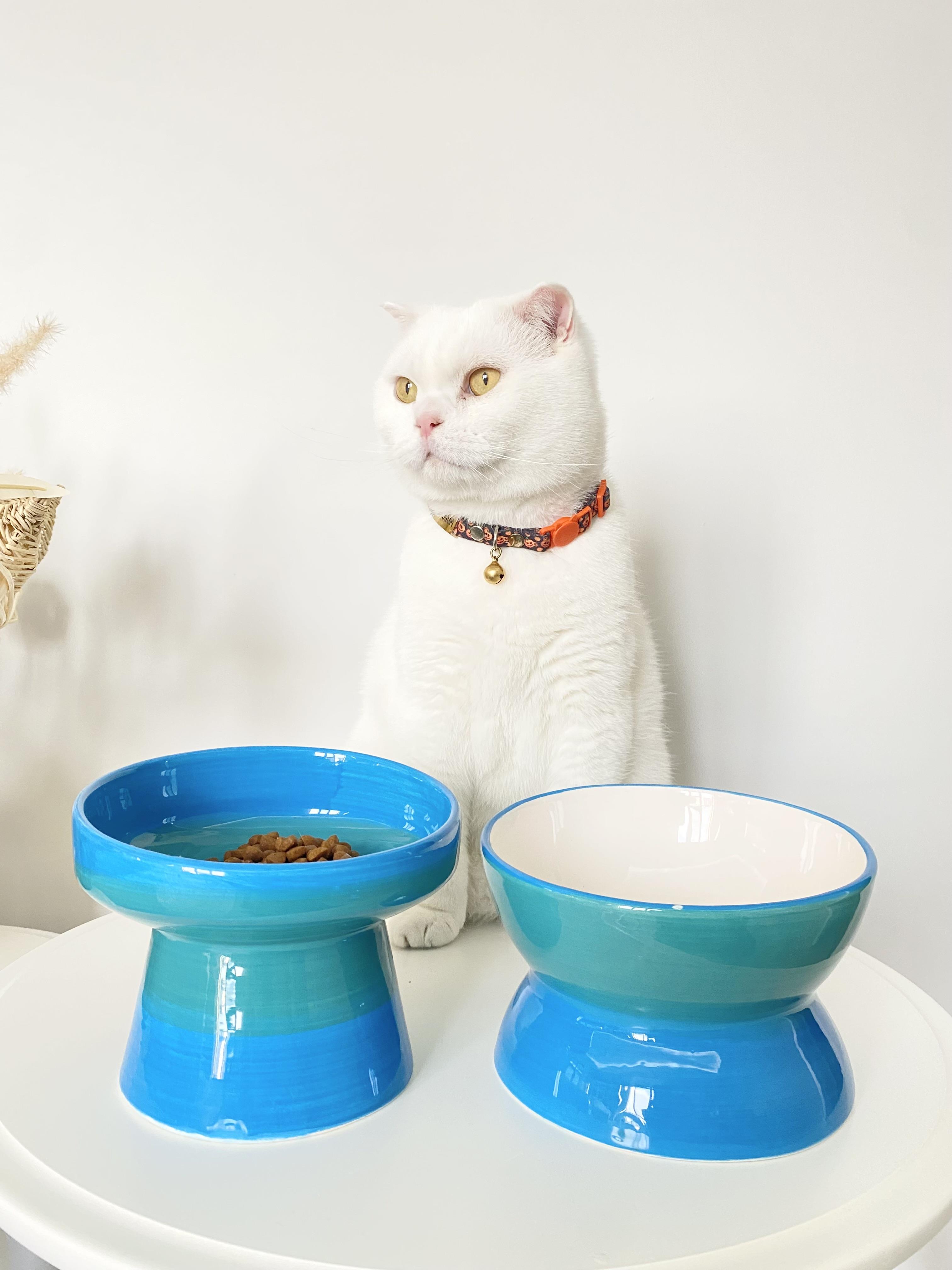 Seramik Kedi ve Köpek Mama Su Kabı Luna- Ayaklı Model 2'Lİ(TURKUAZ)