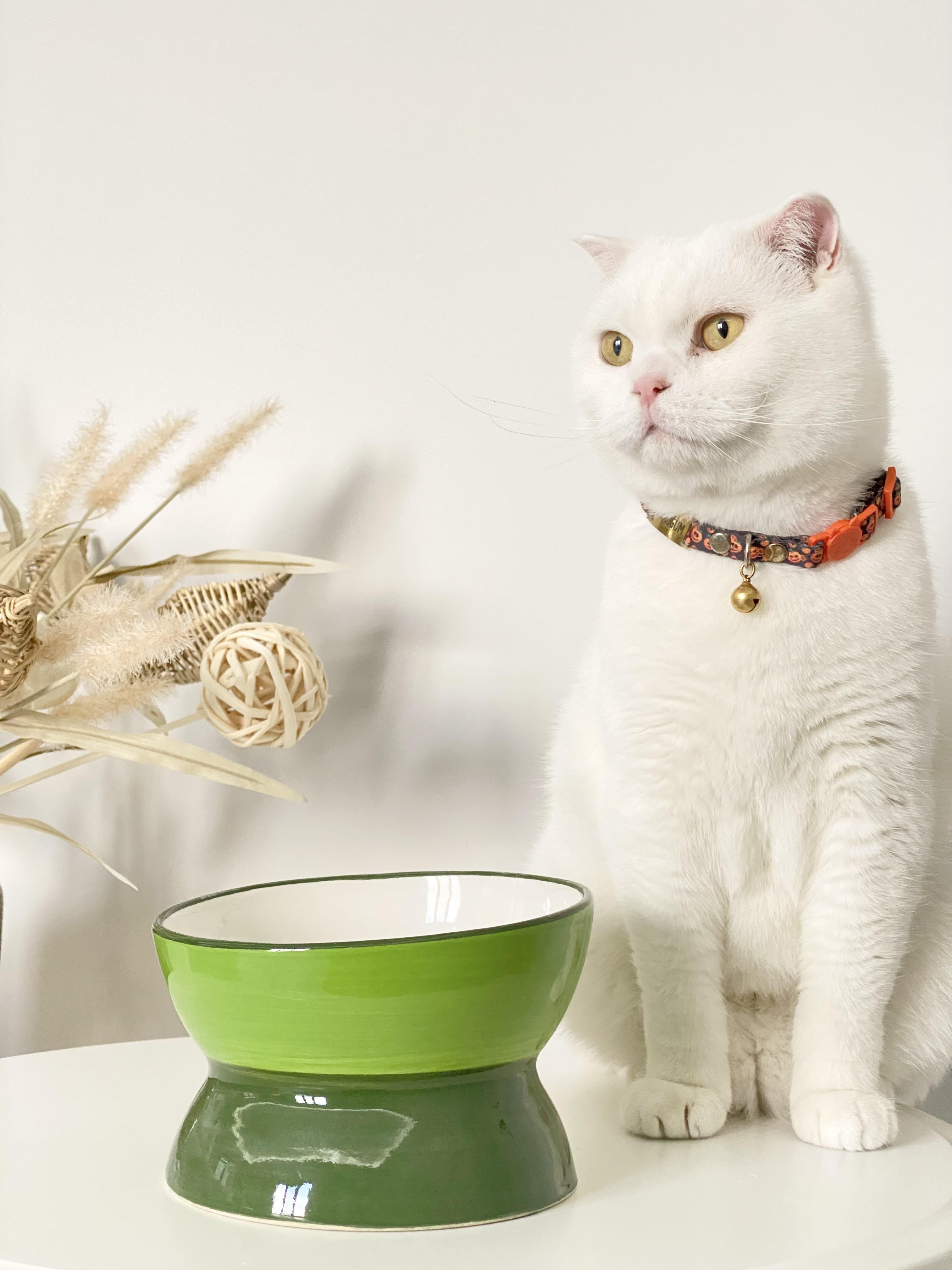 Seramik Kedi ve Köpek Mama Su Kabı Luna Model(YEŞİL)