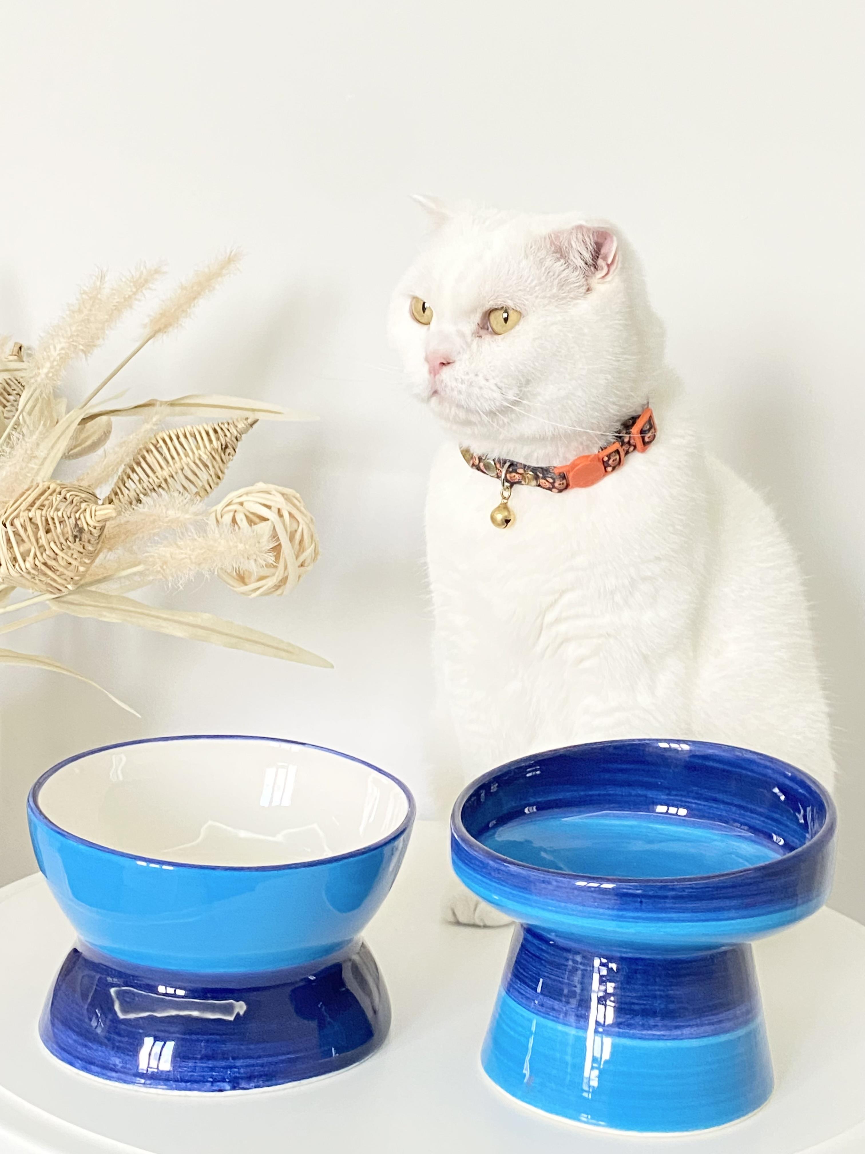 Seramik Kedi ve Köpek Mama Su Kabı Luna- Ayaklı Model 2'Lİ(MAVİ)