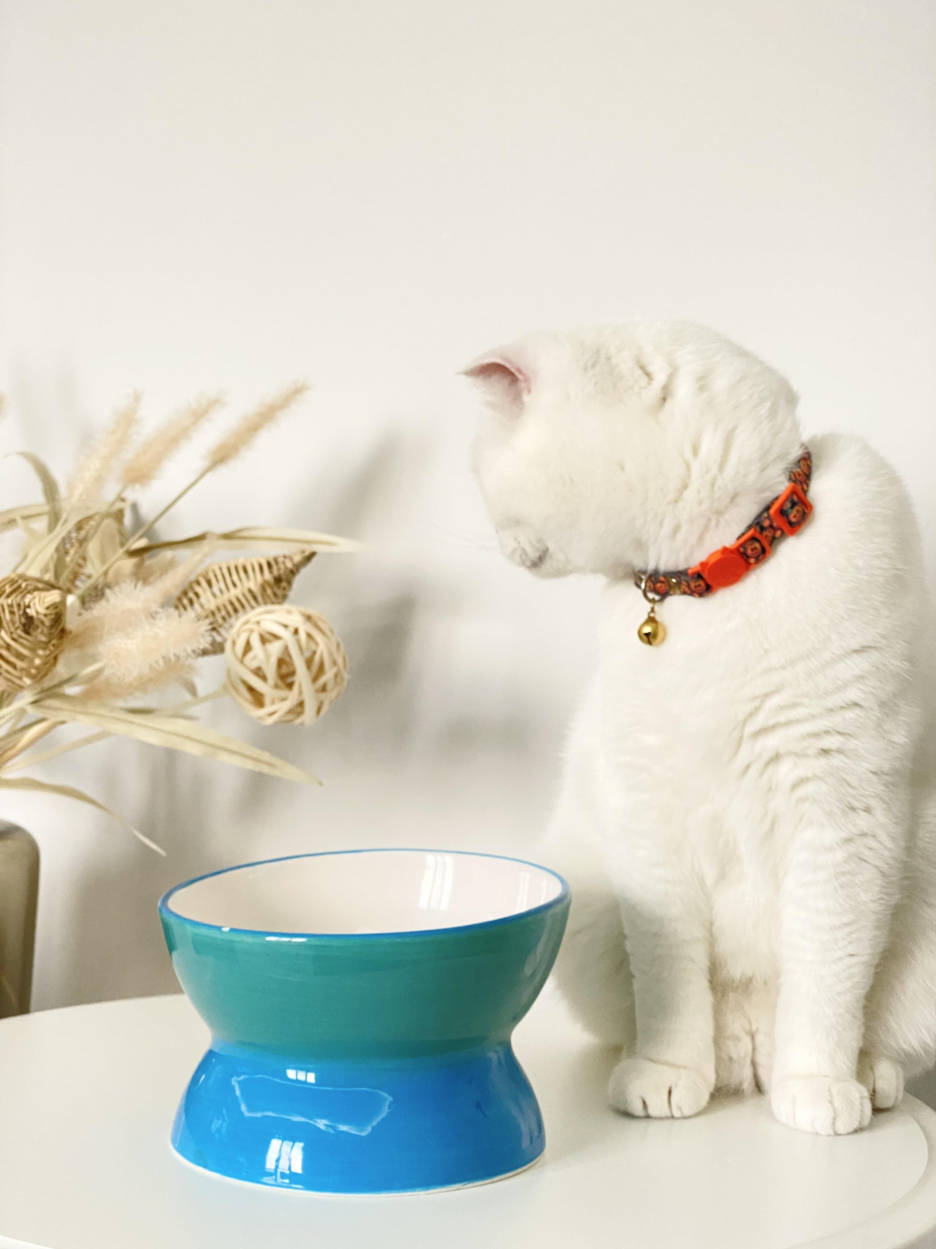 Seramik Kedi ve Köpek Mama Su Kabı Luna Model (TURKUAZ)