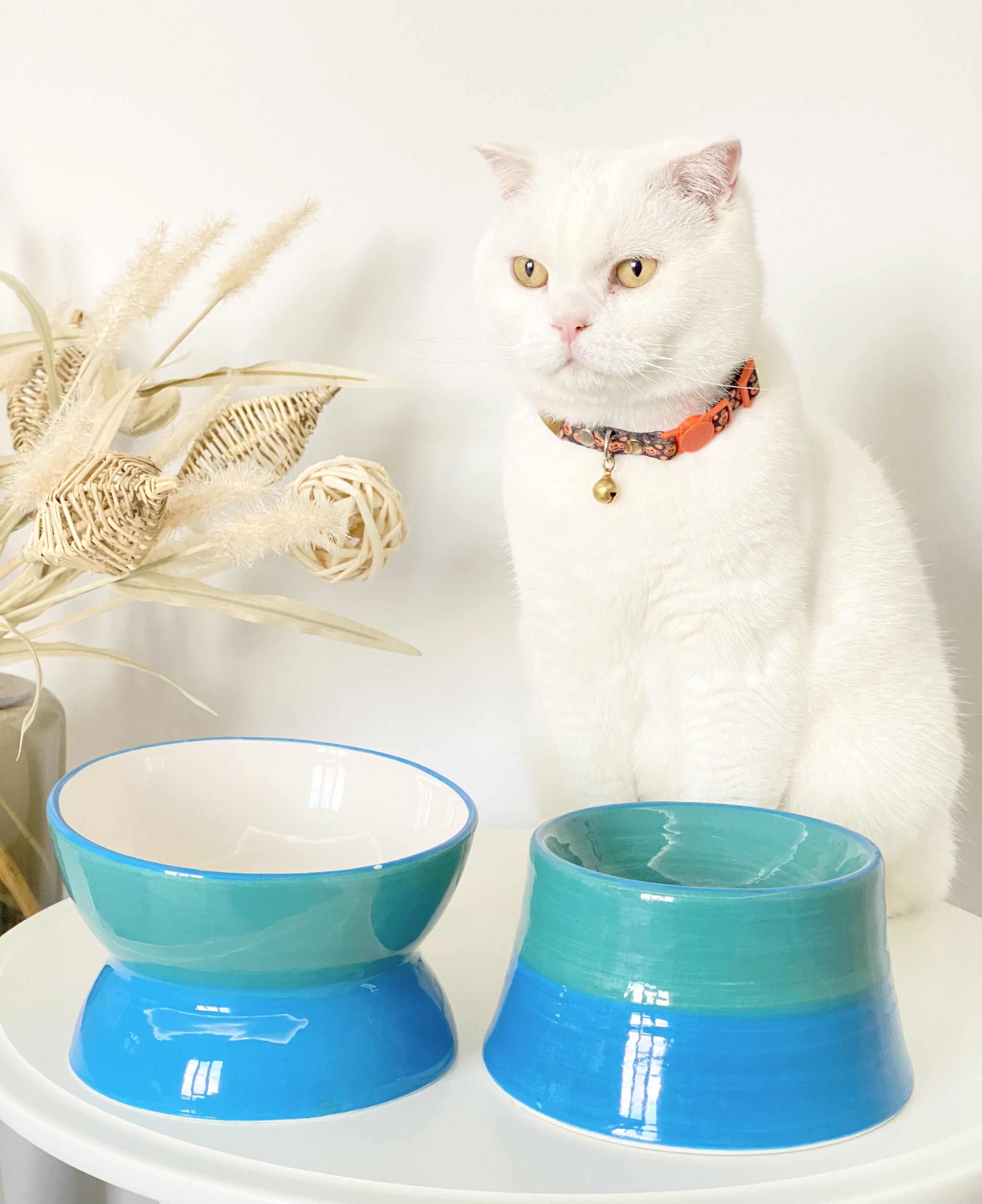 Seramik Kedi ve Köpek Mama Su Kabı Luna-Colorful Model 2'Lİ(TURKUAZ )