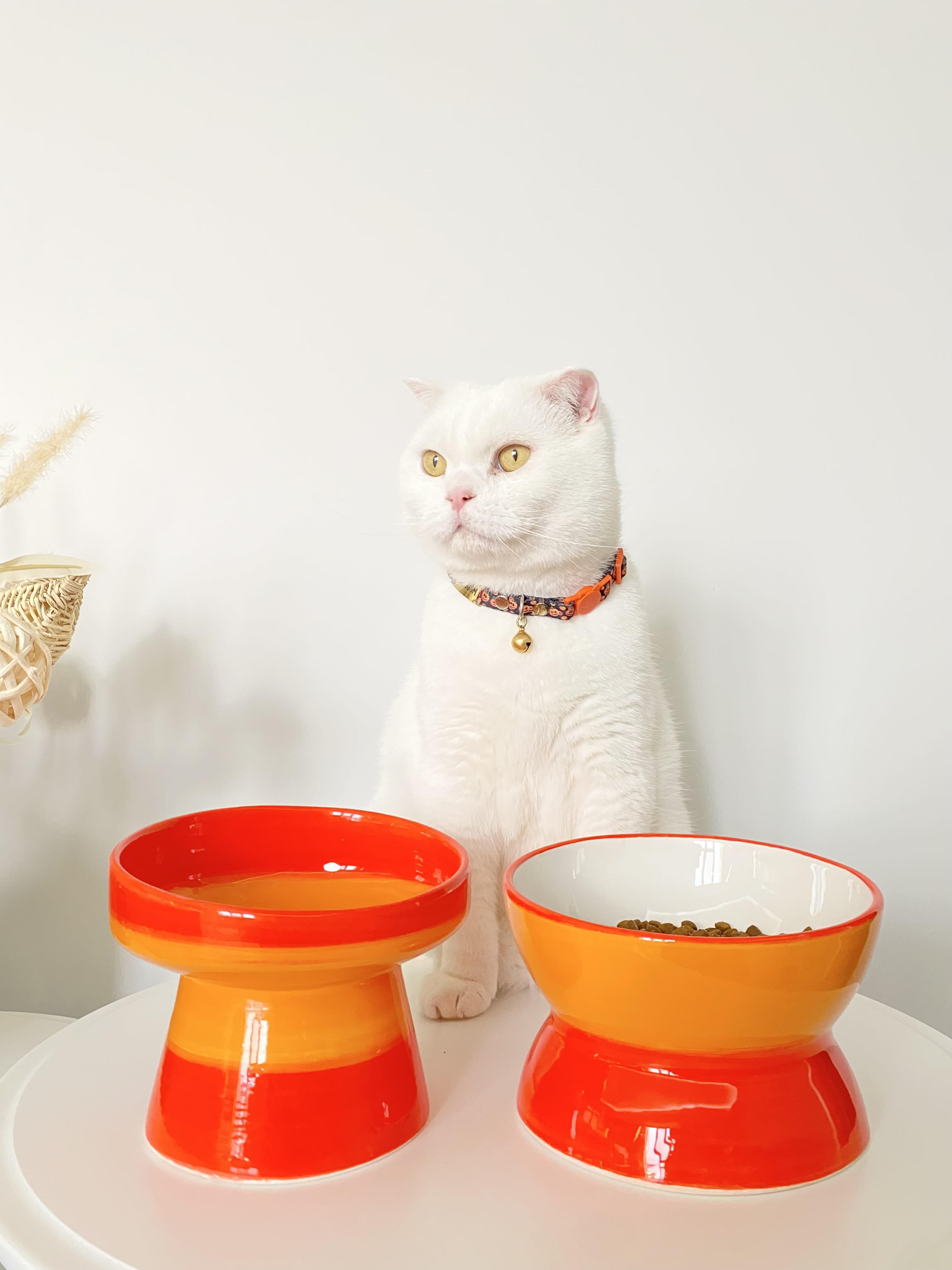 Seramik Kedi ve Köpek Mama Su Kabı Luna- Ayaklı Model 2'Lİ(TURUNCU)