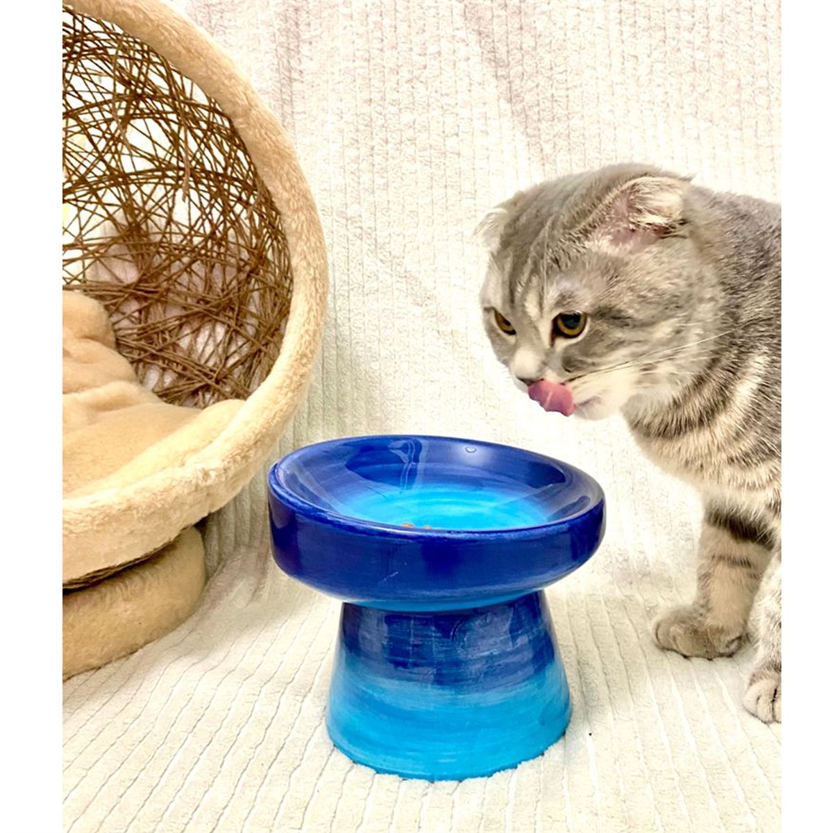 Seramik Kedi ve Kopek Mama Su Kabı (Mavi-Açık Mavi)