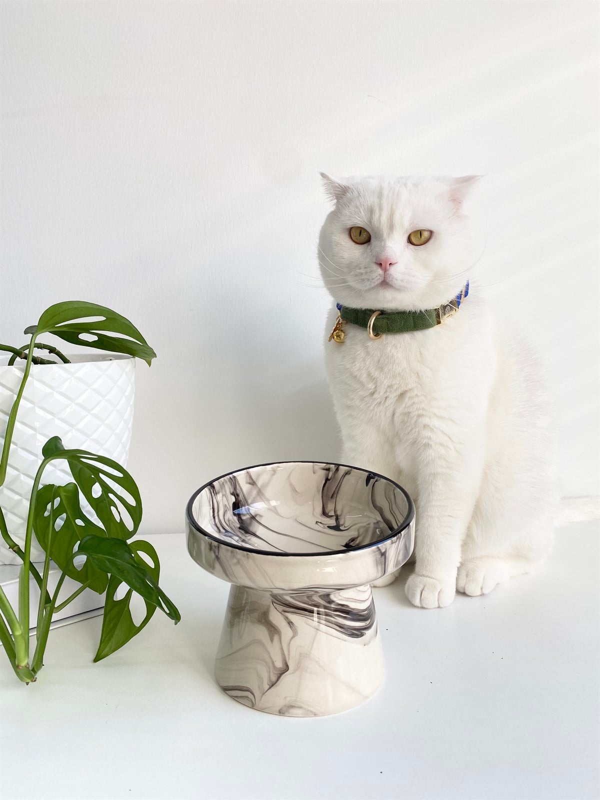Seramik Kedi ve Köpek Mama Su Kabı (YEŞİL ÇİZGİLİ-ebru desen)