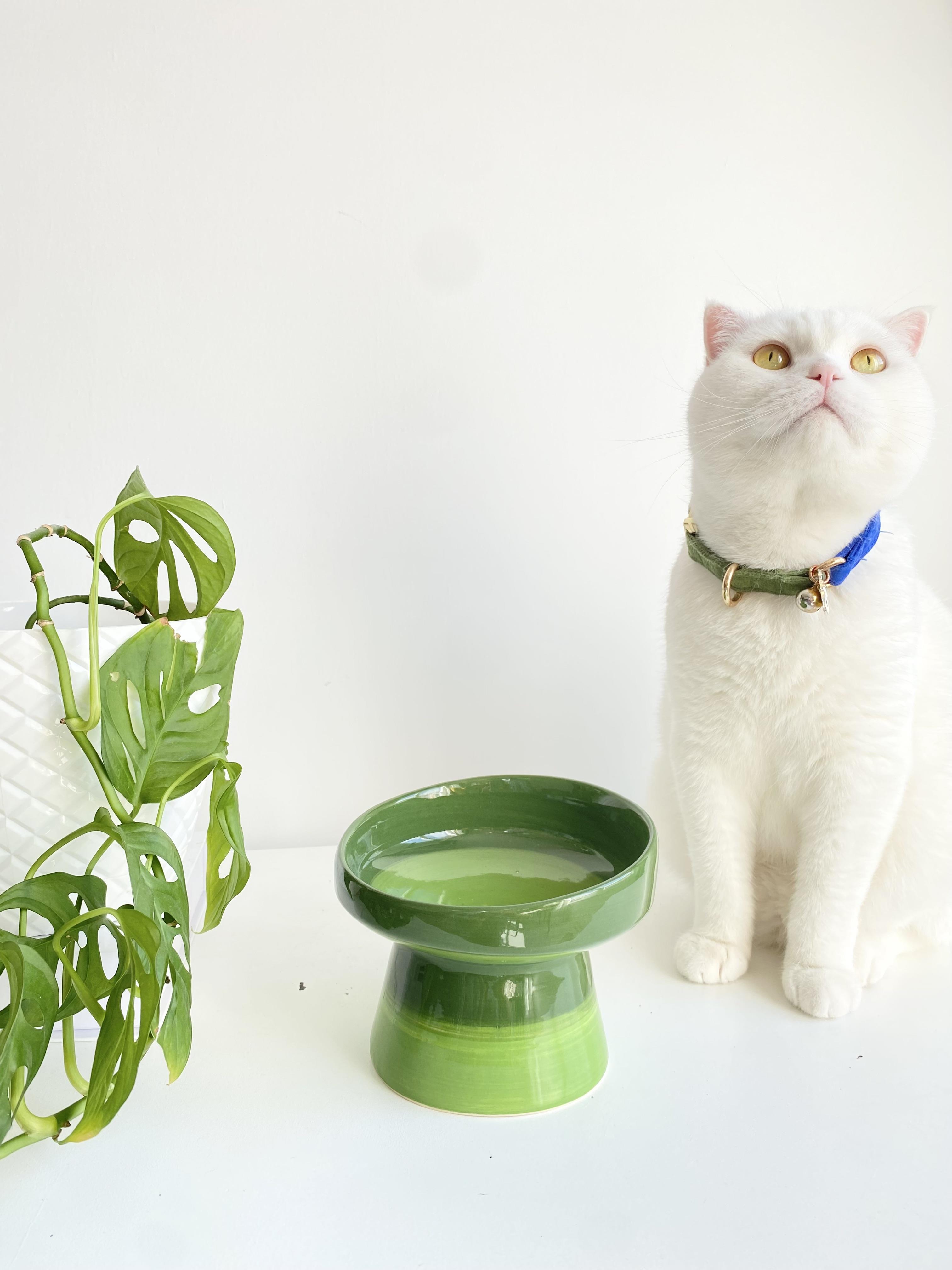 Seramik Kedi ve Kopek Mama Su Kabı (Yeşil-Fıstık Yeşili)