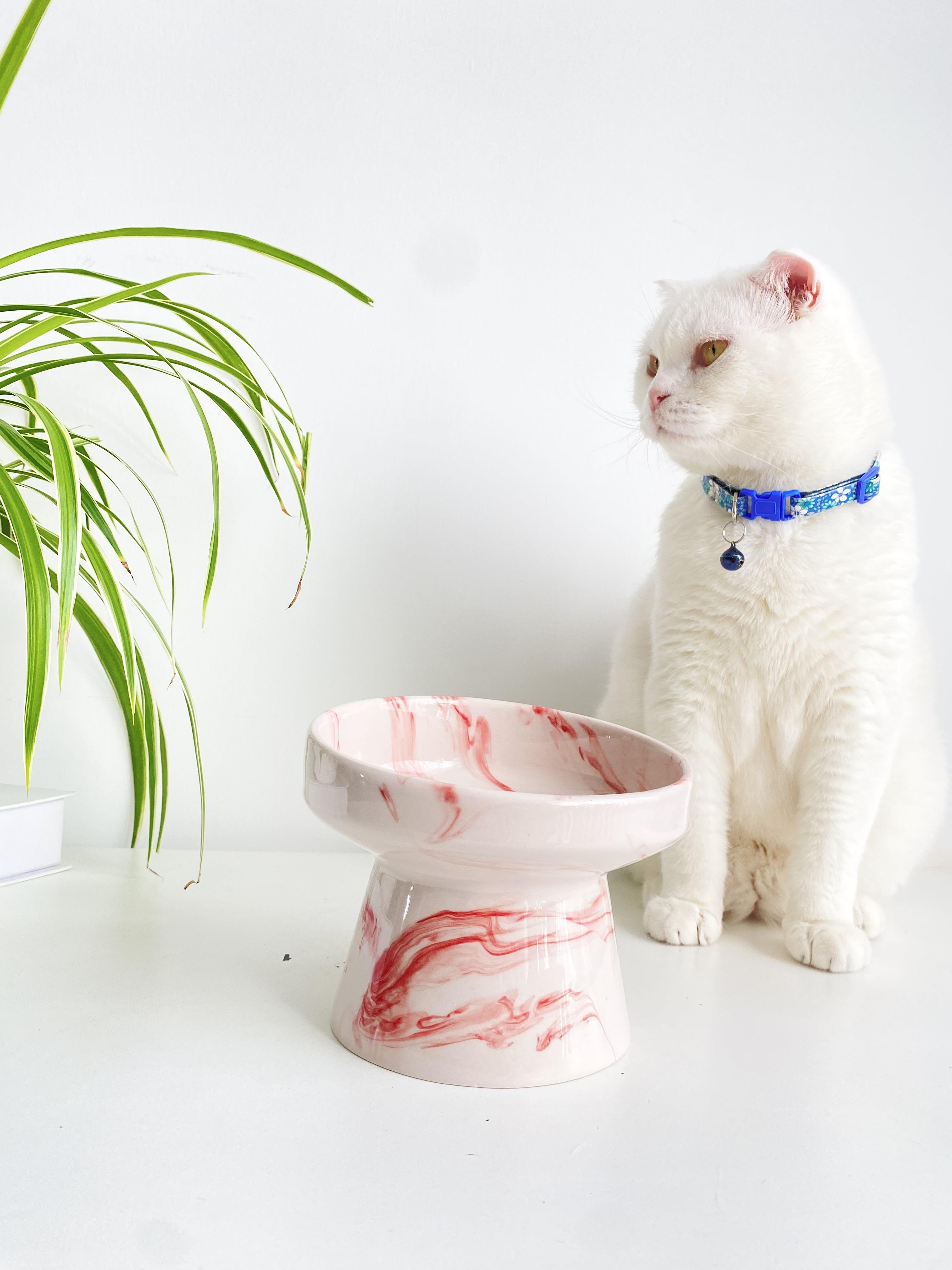 Seramik Kedi ve Kopek Mama Su Kabı(kırmızı-beyaz-ebru-desenli M2)