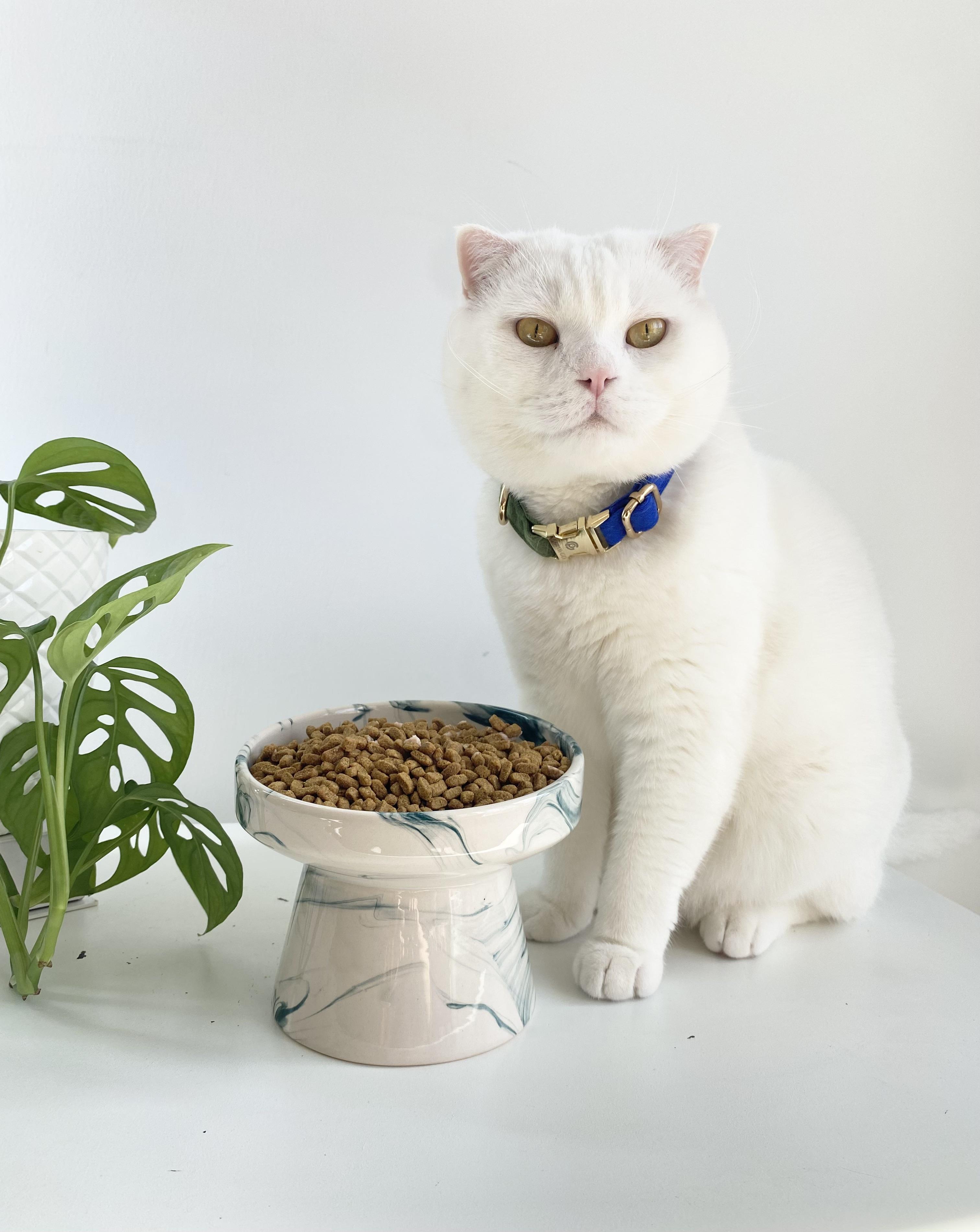 Seramik Kedi ve Kopek Mama Su Kabı(yesil-beyaz-ebru-desenli M2)