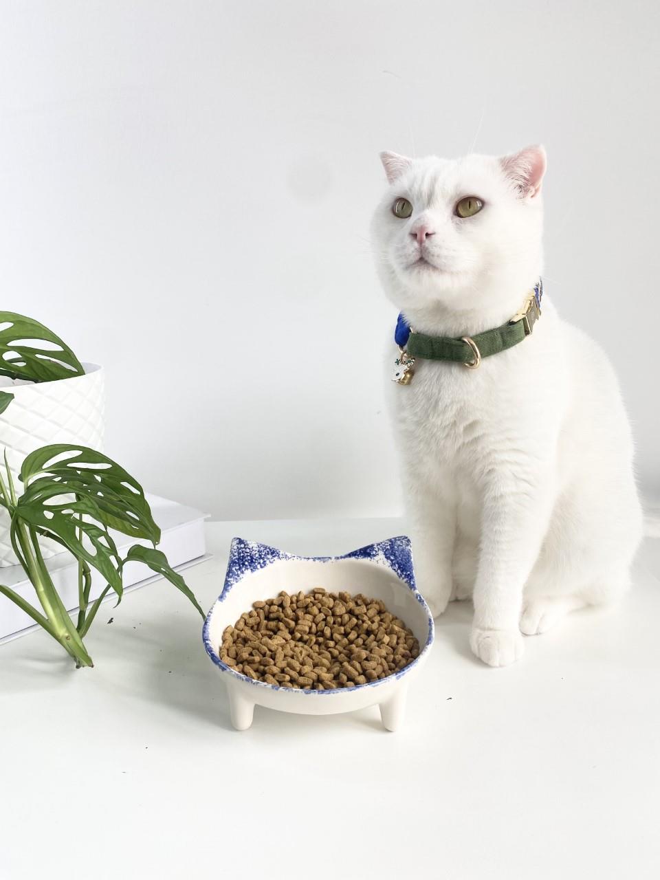 Seramik Sweet Cat Kedi Mama- Su Kabı (mavi Desen)