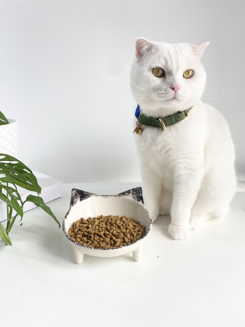 Seramik Sweet Cat Kedi Mama- Su Kabı (Siyah Desen)