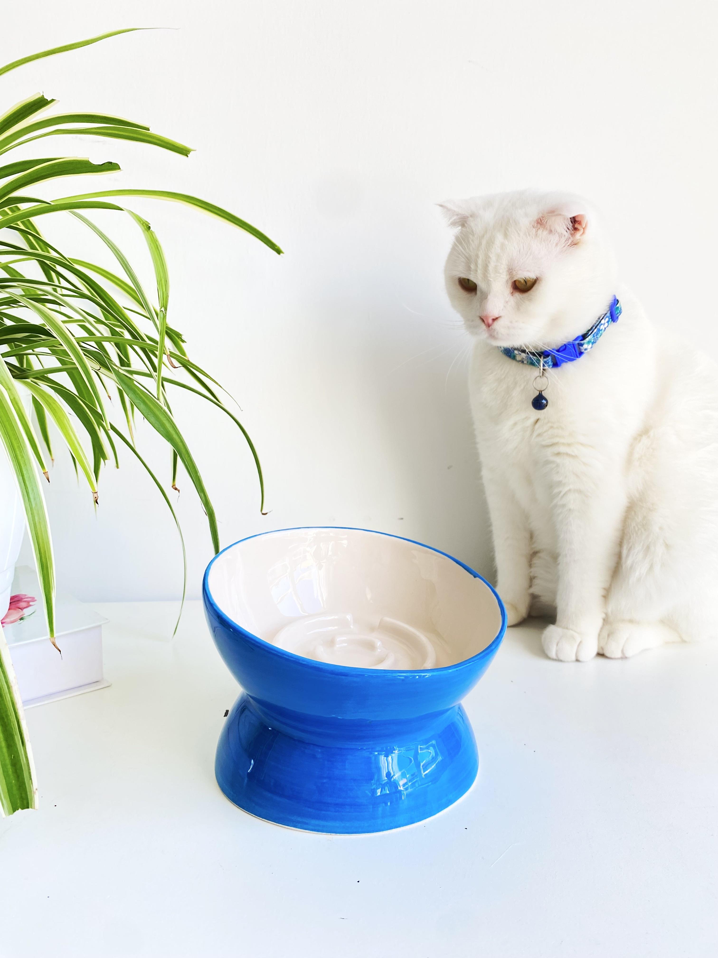 SERAMİK YAVAŞ YEME KEDİ MAMA KABI (MAVİ)