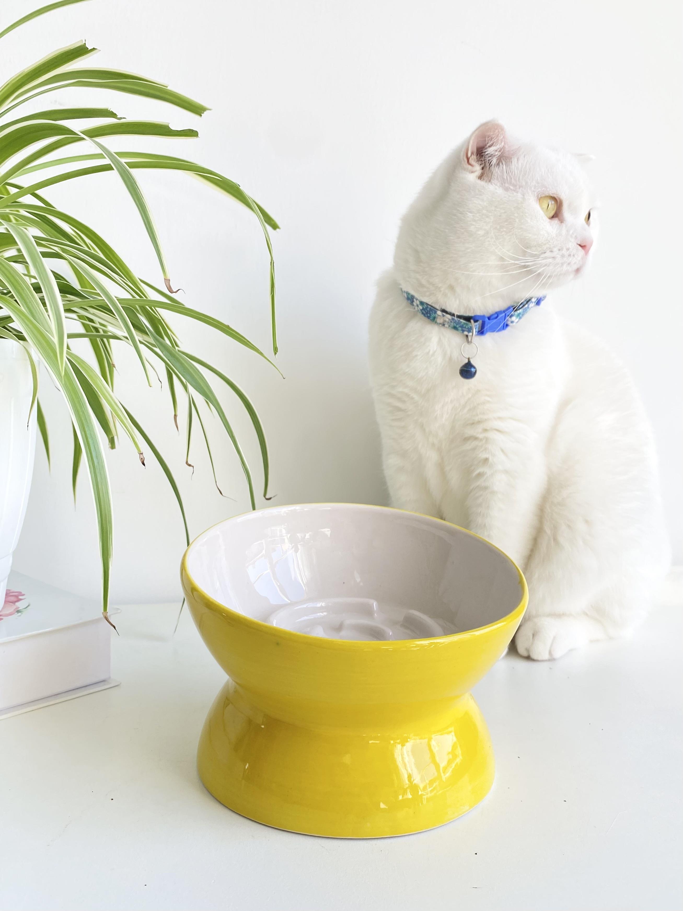 SERAMİK YAVAŞ YEME KEDİ MAMA KABI (SARI)