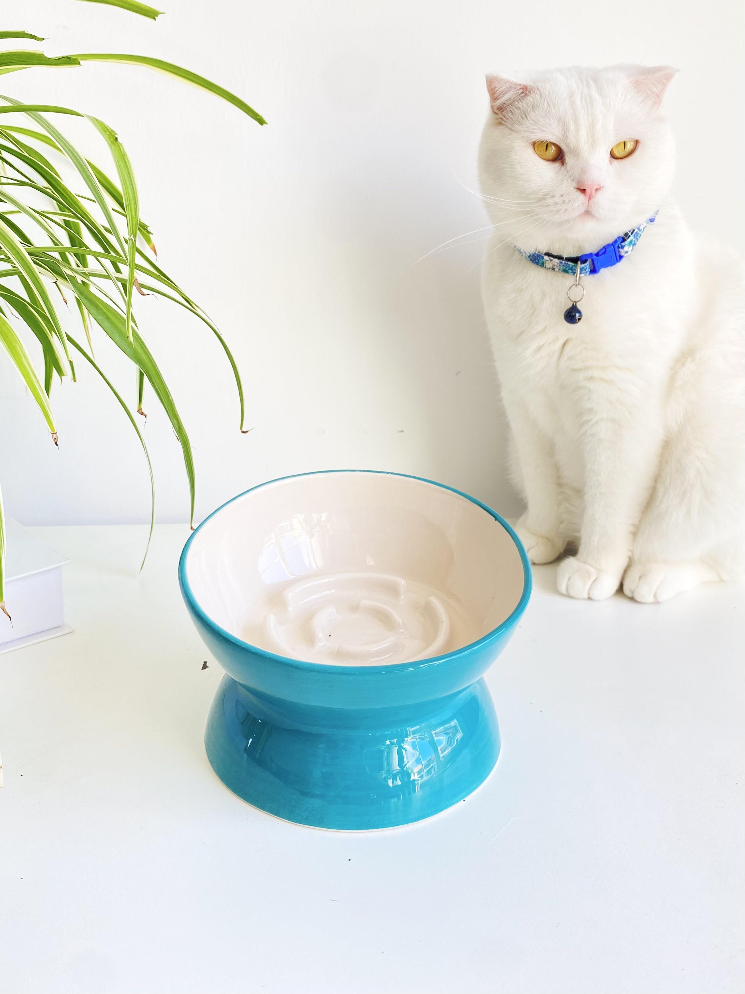 SERAMİK YAVAŞ YEME KEDİ MAMA KABI (TURKUAZ)